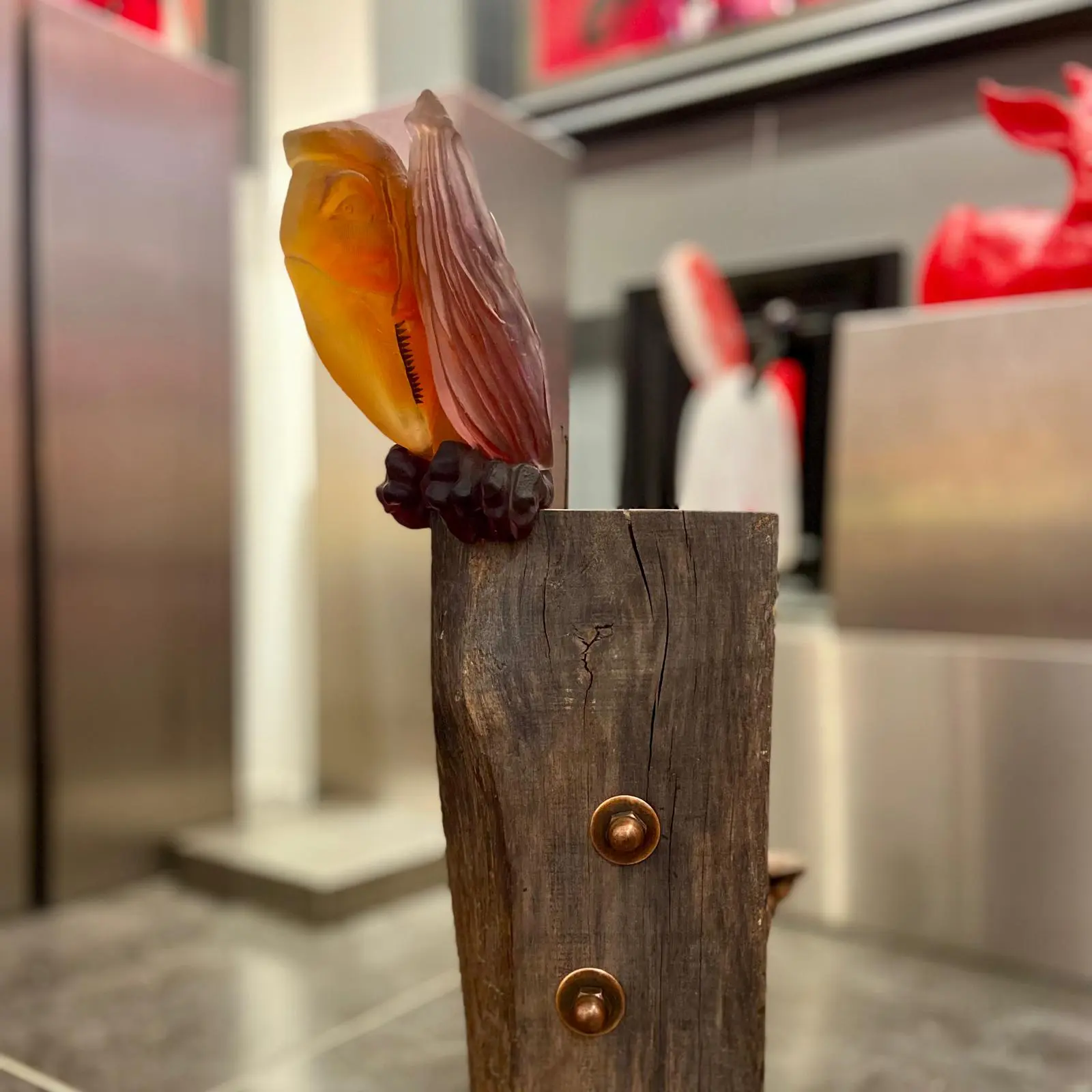 Sun Catchers - Afbeelding 8