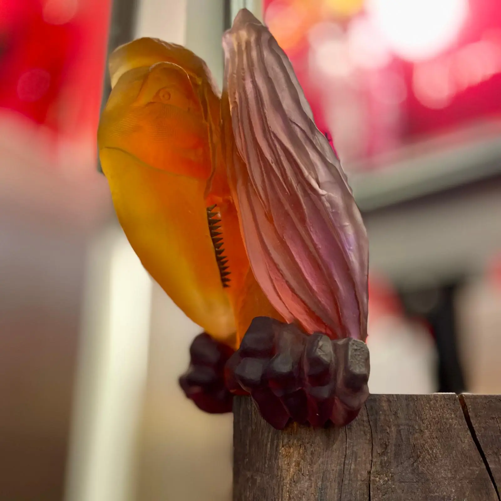 Sun Catchers - Afbeelding 9