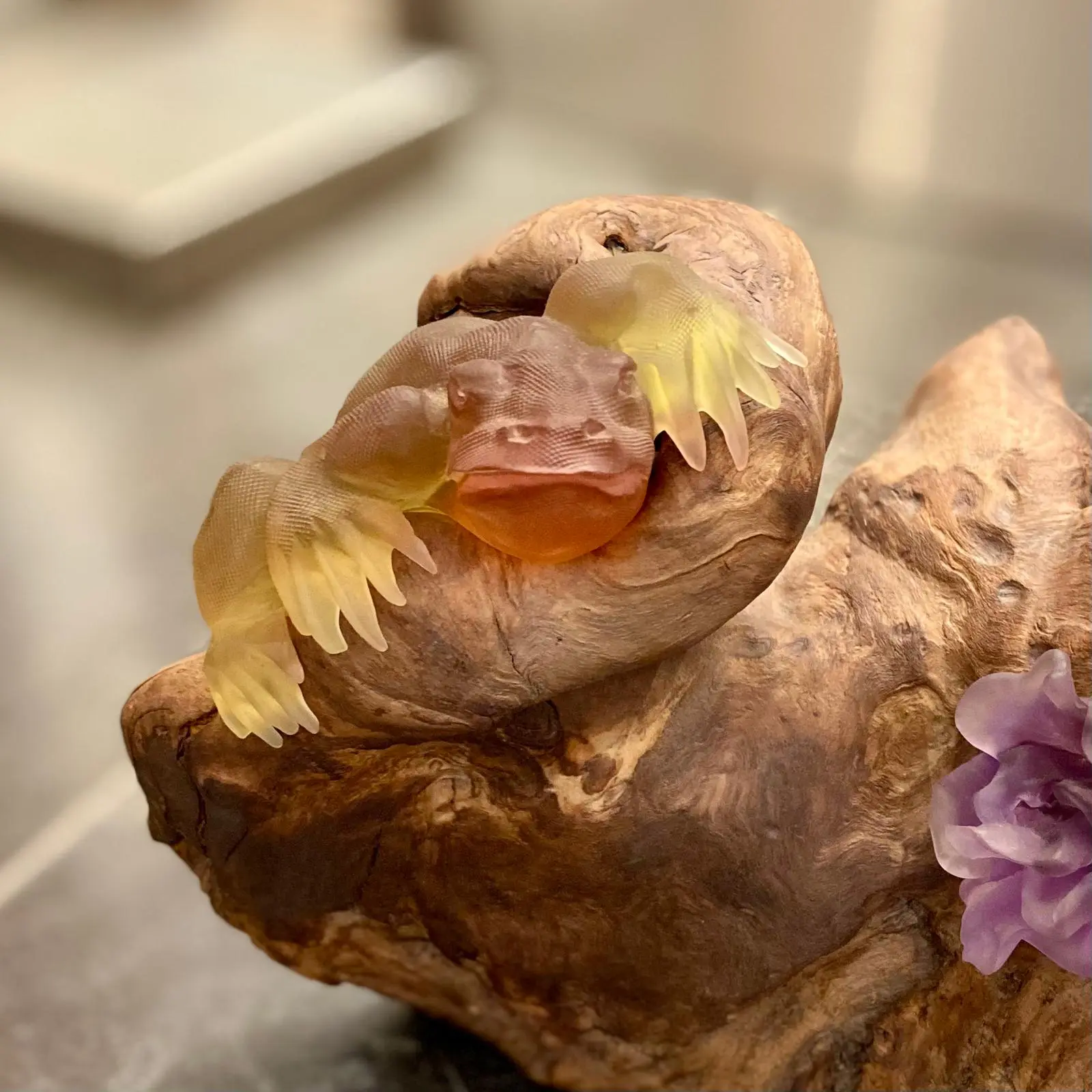 Sun Catchers - Afbeelding 6