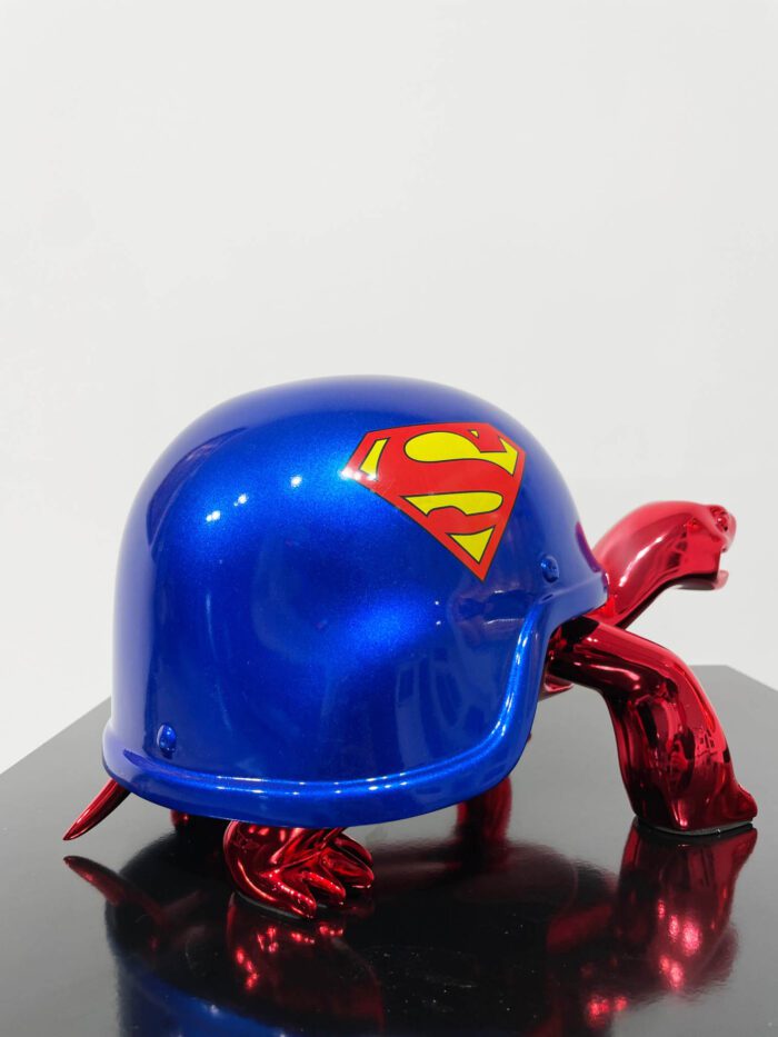 SUPERMAN - HERO TURTLE